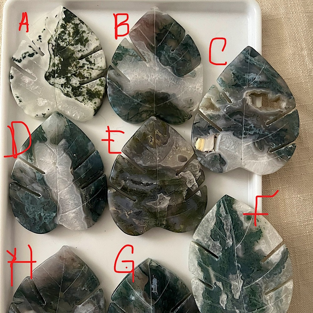 Moss Agate Monstera Leaf Crystals